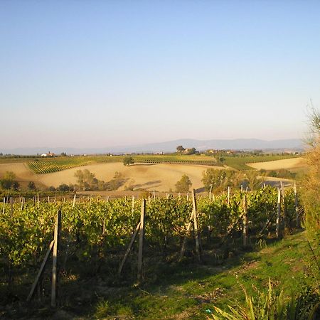 Tenuta Santagnese Montepulciano Stazione Kültér fotó